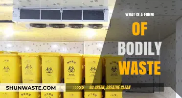 Understanding Bodily Waste: Types, Functions, and Healthy Elimination Explained