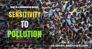 Freshwater Mussels: Pollution Sensitivity and Resilience