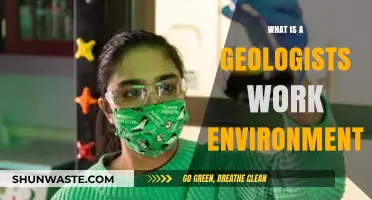 Exploring the Diverse Work Environments of Geologists: Field, Lab, and Beyond