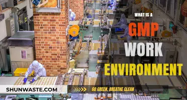 Understanding GMP: Creating a Compliant and Safe Work Environment
