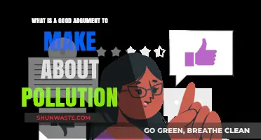 The Real Cost of Pollution: Our Future