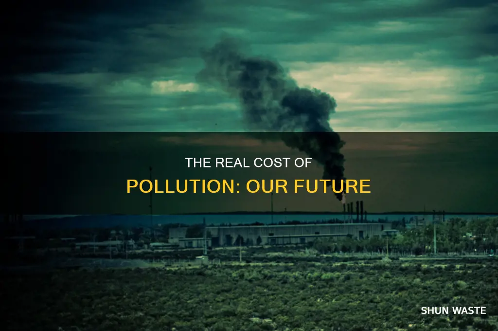 what is a good argument to make about pollution