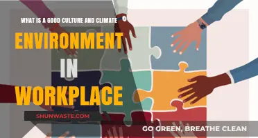 Fostering a Positive Workplace: Culture and Climate Essentials for Success