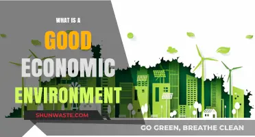 Creating a Thriving Economic Environment: Key Factors for Sustainable Growth