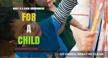 Creating a Nurturing Environment for Your Child’s Growth and Development