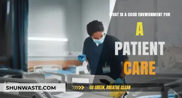 Creating Optimal Patient Care Environments: Key Factors for Healing and Comfort