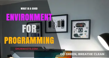 Crafting the Ideal Workspace: Enhancing Productivity for Programmers