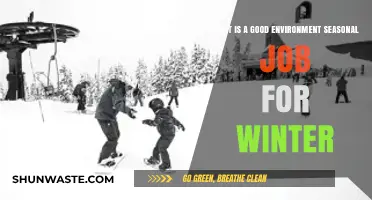 Top Winter Seasonal Jobs: Perfect Opportunities for a Cozy Season