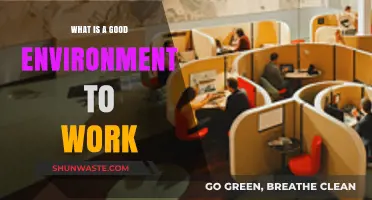 Crafting the Ideal Workspace: Elements of a Productive Work Environment
