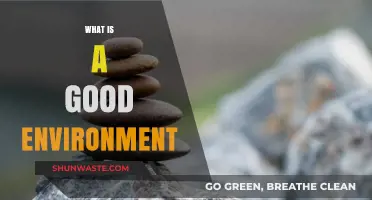 Creating a Good Environment: Key Elements for Health and Happiness