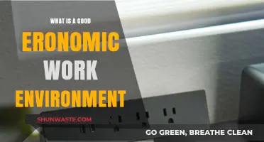 Creating a Productive Workspace: Essentials for a Good Ergonomic Environment