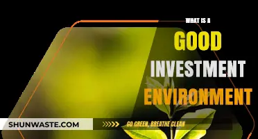 Creating a Good Investment Environment: Key Factors for Success