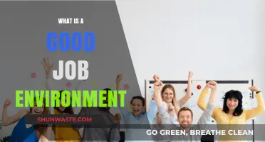 Creating a Positive Workplace: Key Elements of a Good Job Environment