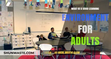 Creating Effective Adult Learning Spaces: Key Elements for Success
