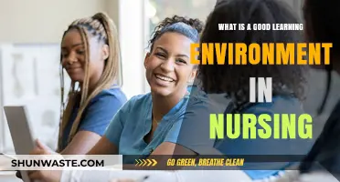 Creating Optimal Nursing Learning Environments: Strategies for Success and Growth