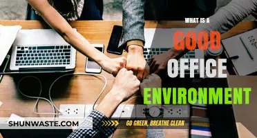 Creating a Productive and Positive Office Environment: Key Elements for Success
