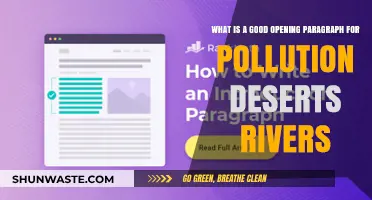 How to Start an Essay on Pollution Deserts and Rivers