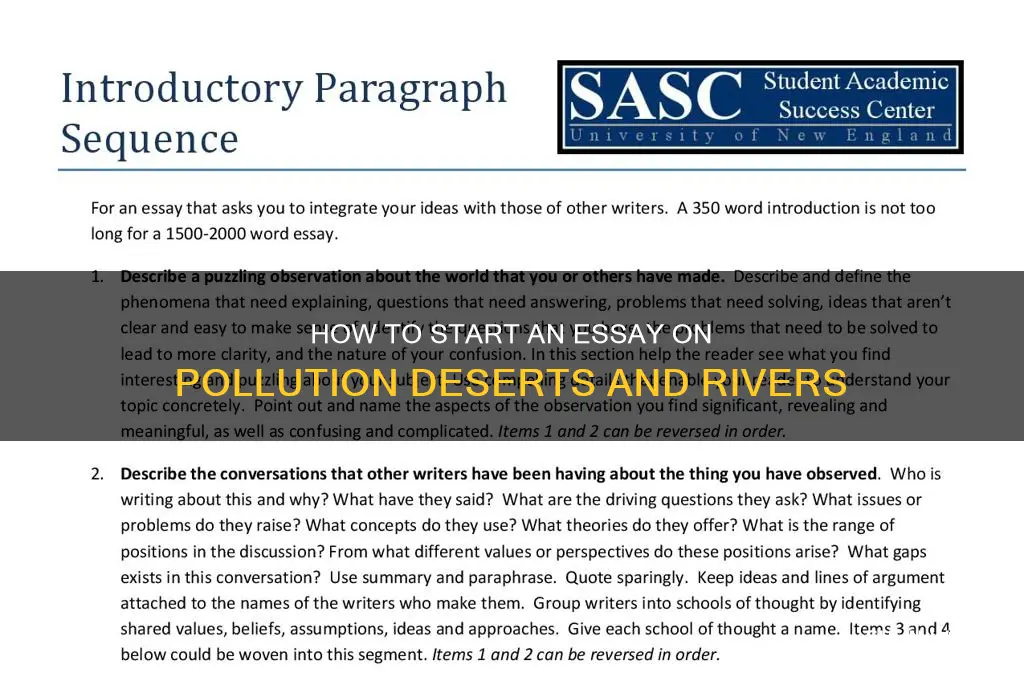 what is a good opening paragraph for pollution deserts rivers