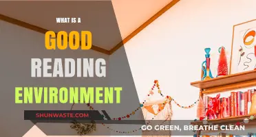 Creating the Perfect Reading Environment: Tips for Comfort and Focus