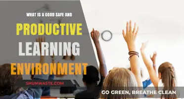 Creating Safe, Productive Learning Environments: Strategies for Success and Growth