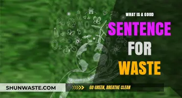 Reducing Waste: Crafting a Powerful Sentence for Environmental Impact