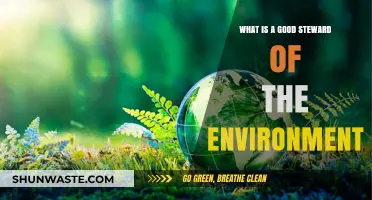Sustainable Living: How to Be a Good Steward of the Environment