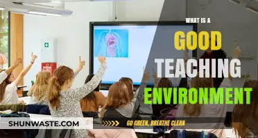 Creating Ideal Teaching Environments: Key Elements for Effective Learning Spaces