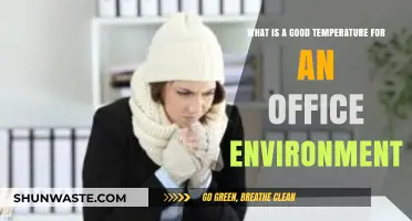 Optimal Office Temperature: Balancing Comfort and Productivity for Employees