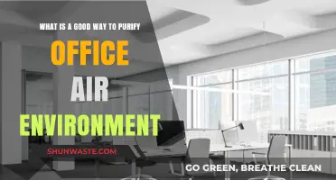Effective Strategies to Purify and Refresh Your Office Air Quality
