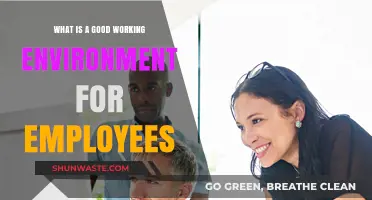 Creating Ideal Workplaces: Key Elements for Employee Satisfaction and Productivity