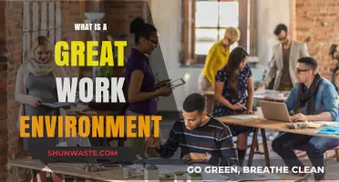 Creating a Great Work Environment: Key Elements for Success and Satisfaction
