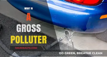 Understanding Gross Polluters: What Are They?