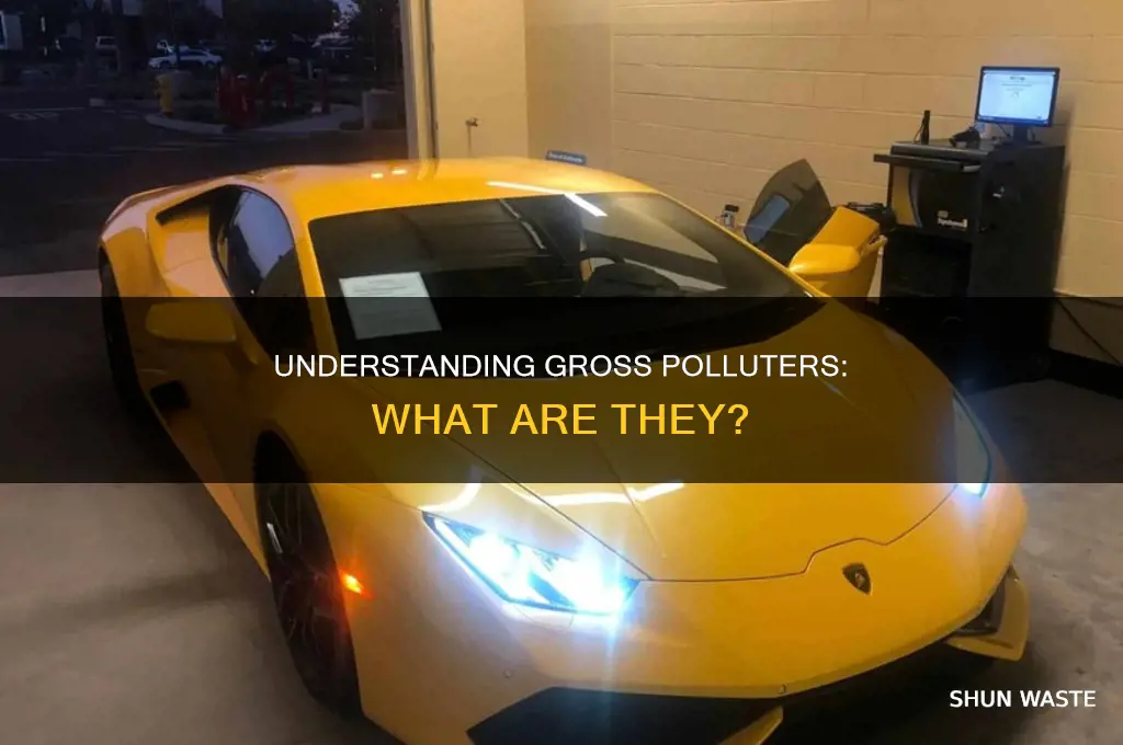 what is a gross polluter