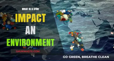 Understanding Gyres: Environmental Impacts and Ecosystem Disruptions Explained