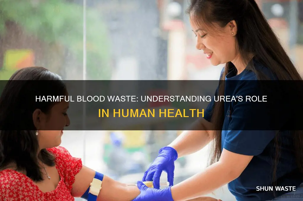 what is a harmful waste material that leaves the blood