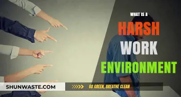 Understanding the Impact of a Harsh Work Environment on Employees