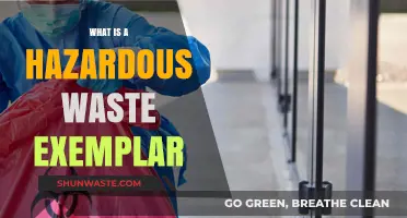Understanding Hazardous Waste: A Comprehensive Exemplar Guide