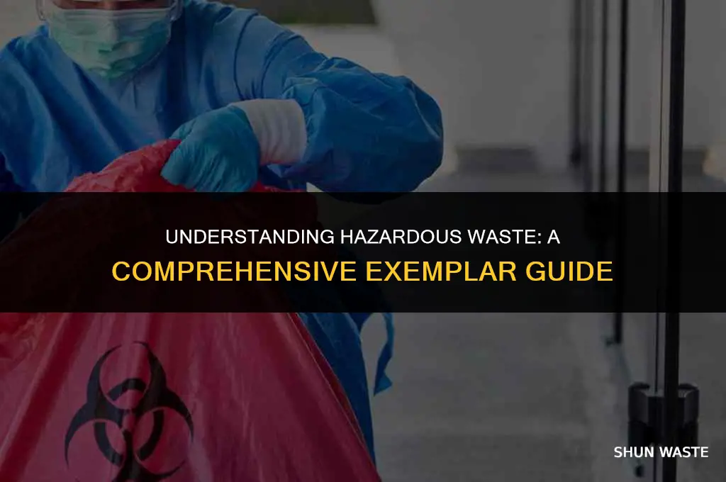 what is a hazardous waste exemplar