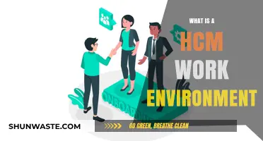 Understanding HCM: Creating a Productive and Engaging Work Environment