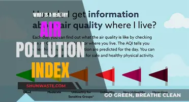 Air Quality Index: Understanding Healthy Air