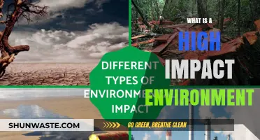 Understanding High-Impact Environments: Key Characteristics and Real-World Examples