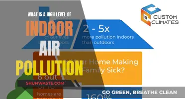 Air Pollution Indoors: A Dangerous, Invisible Threat
