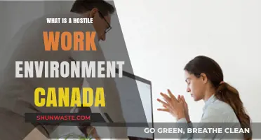 Understanding Hostile Work Environments in Canada: Legal Insights and Employee Rights