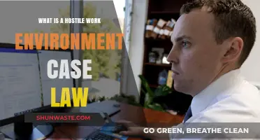 Understanding Hostile Work Environment Case Law: Key Legal Insights