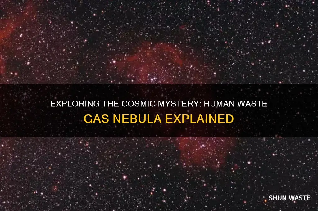 what is a human waste gas nebula