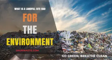 Landfill Sites: Environmental Hazards and Their Impact on Our Planet