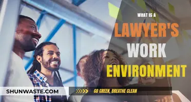 Exploring the Diverse Work Environments of Modern Lawyers