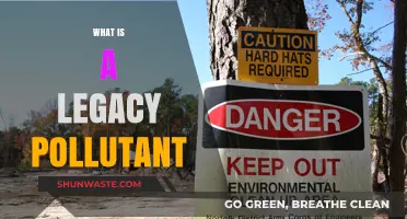 Legacy Pollutants: A Toxic Reminder of Our Past