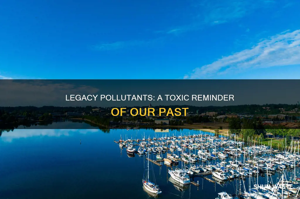 what is a legacy pollutant