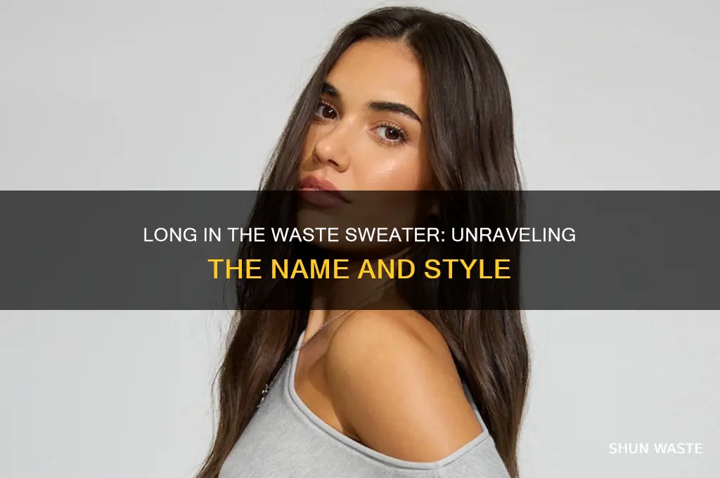 what is a long in the waste sweater called